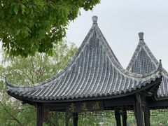 -八大山人梅湖景区