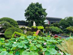 -无锡蠡湖国家湿地公园-蠡园