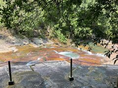 -广州白江湖森林公园