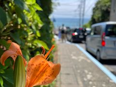 -灌篮高手动画打卡地