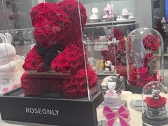 -ROSEONLY诺誓(国际广场购物中心店)