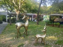 -西湖天地