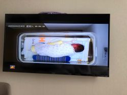 -海豚湾高端月子会所(黄浦店)