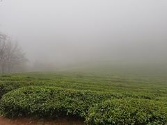 -敬亭山风景名胜区