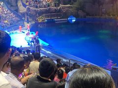 -芜湖新华联大白鲸海洋公园