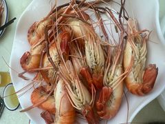 -阿拉斯加·海货(马王堆店)