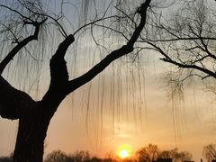 -后海公园