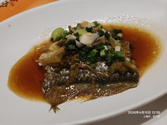-鹿园 MOOSE(长宁店)