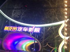 -枫花园汽车电影院(朝阳公园店)