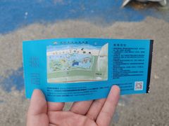 -启东黄金海滩景区