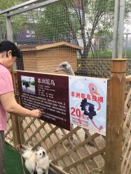 -萌宠亲子动物乐园(槐房万达店)