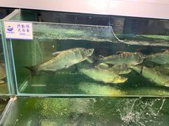 -胖姐渔村(中源大道店)