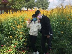 -洪湖家庭农场·团建·露营·会议
