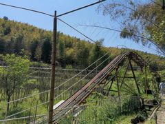 -宁波浙东大竹海景区