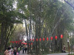 -望江楼公园