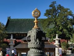 -天津大悲禅院