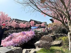 -茅山东方盐湖城景区