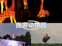 -合肥野生动物园