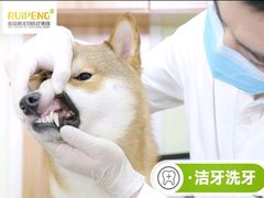 -宠颐生中康贝怡动物医院