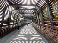 -昆山城市生态森林公园