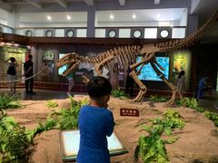 -自贡恐龙博物馆