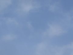 -嘉北郊野公园北游客中心-地上停车场