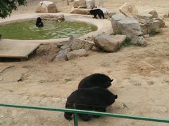 -石家庄市动物园