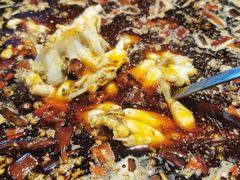 -销魂美蛙鱼头火锅(上海首店)