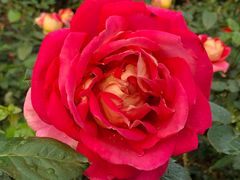 -人民公园(罗湖区)