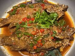 -湘水滨·臭鳜鱼·湘菜(马驹桥店)