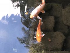 -ステーキハウス吉池