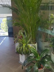 -BOF HAIR BY HONTO