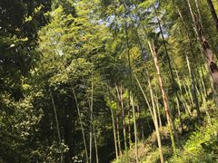 -黄公望隐居地