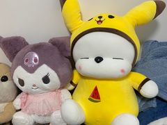 -PAWTOY爪e玩偶店(天兴罗斯福店)