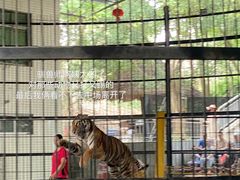 -广东茂名森林公园