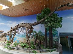 -延庆地质公园博物馆