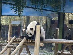-栾川竹海野生动物园