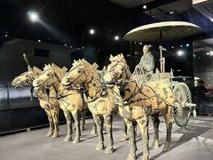 -秦始皇帝陵博物院(兵马俑)
