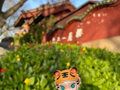 -红山公园