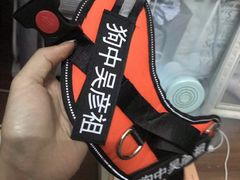 -创凡宠物医院·骨专科  猫科中心(西乡分院)