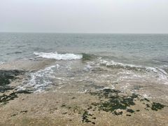 -渡海小渔村.老辈日照菜