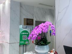 -登特口腔医院(鼓楼东街口店)