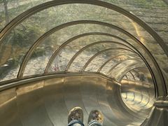 -杭州湾海上花田景区