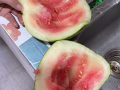 -前小桔亲子创意农场·草莓采摘·露营烧烤