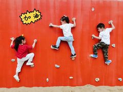 -春花秋色城市公园