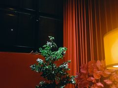 -JZ Club 爵士酒吧(上海店)