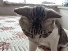 -徐记炭火铜锅手切鲜羊肉(塔湾直营店)