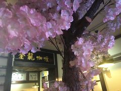 -金龙咖喱