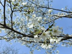 -西北湖绿化广场