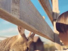 -安德鲁户外烧烤帐篷营地(马泉营店)